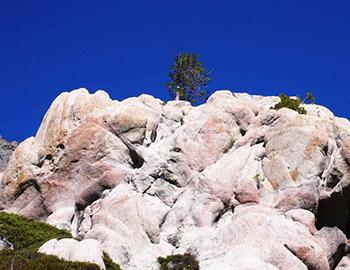 Alpine Meadows in the Summertime