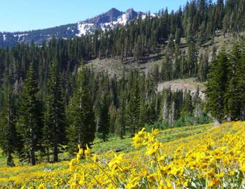 Alpine Peaks West Shore Lake Tahoe