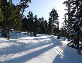 Snow By Lots of Other Names in North Lake Tahoe