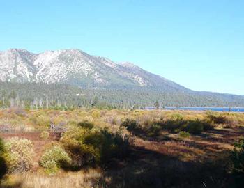 Taylor Creek Salmon Run