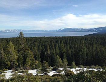 The Winter Thaw in North Lake Tahoe