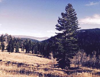 Ward Canyon on the West Shore of Lake Tahoe