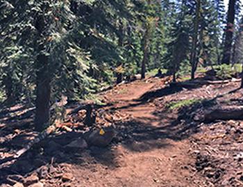 Mountain Biker Alert in North Lake Tahoe
