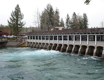 Playing on the Truckee River in North Lake Tahoe