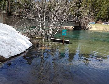 The Truckee River has Risen