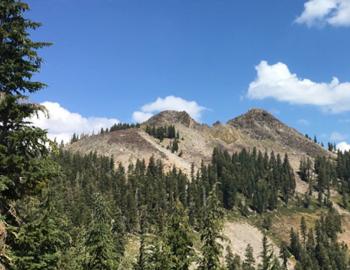 Hike Blackwood Canyon to Ward Canyon