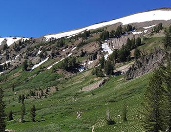 Pacific Crest Trail Thru-Hikers in North Lake Tahoe