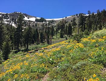 Getting Away From The Crowds in North Lake Tahoe