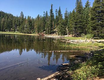 Riding To Watson Lake