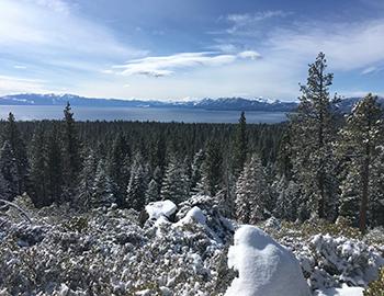 Snow Comes in All Sorts Of Shapes and Sizes