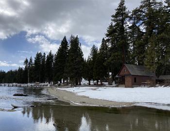 Sugar Pine Winter Hike in North Lake Tahoe