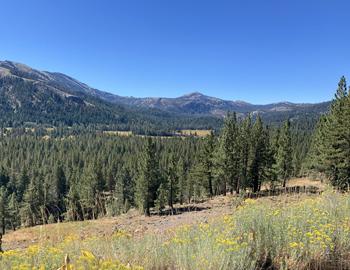 Beautiful and Bumpy in North Lake Tahoe