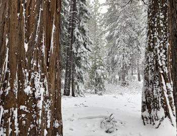 Surprise! Winter has returned in North Lake Tahoe