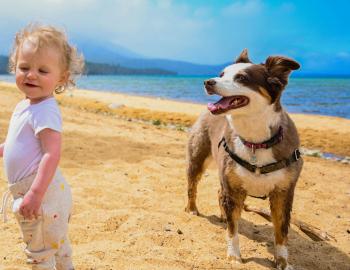 A child at a Dog Friendly beach in Lake Tahoe.