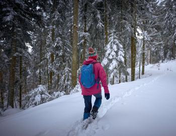 A person snowshoeing, which is one of the many Things To Do At Lake Tahoe.