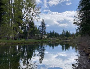 Springtime The Roar of the Truckee River