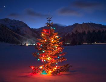 palisades tahoe welcome to winter