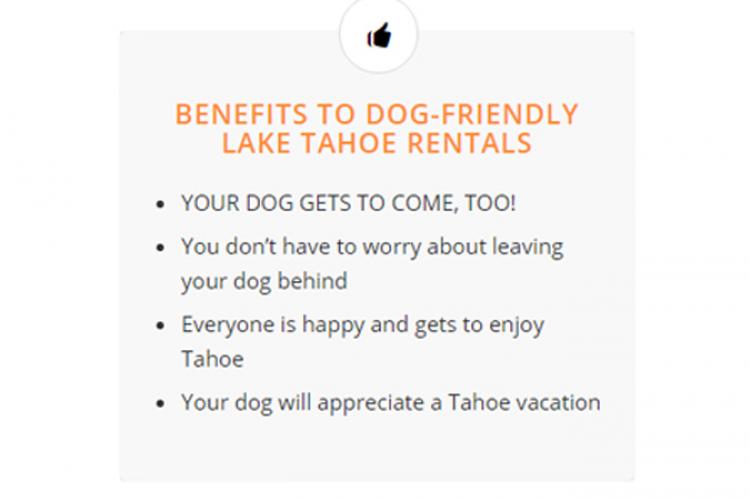 Benefits To Dog-Friendly Vacation Rentals