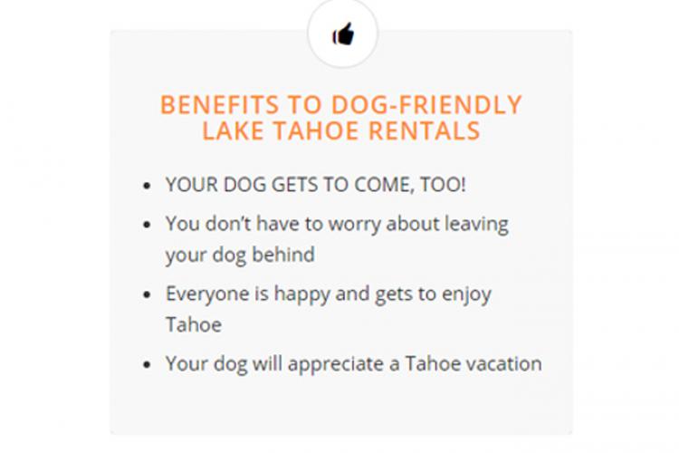 Benefits To Dog-Friendly Vacation Rentals in North Lake Tahoe