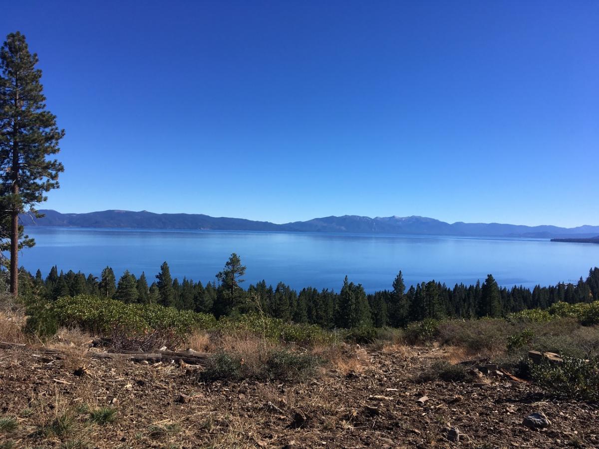Coming Back To Tahoe Coming Back To Tahoe