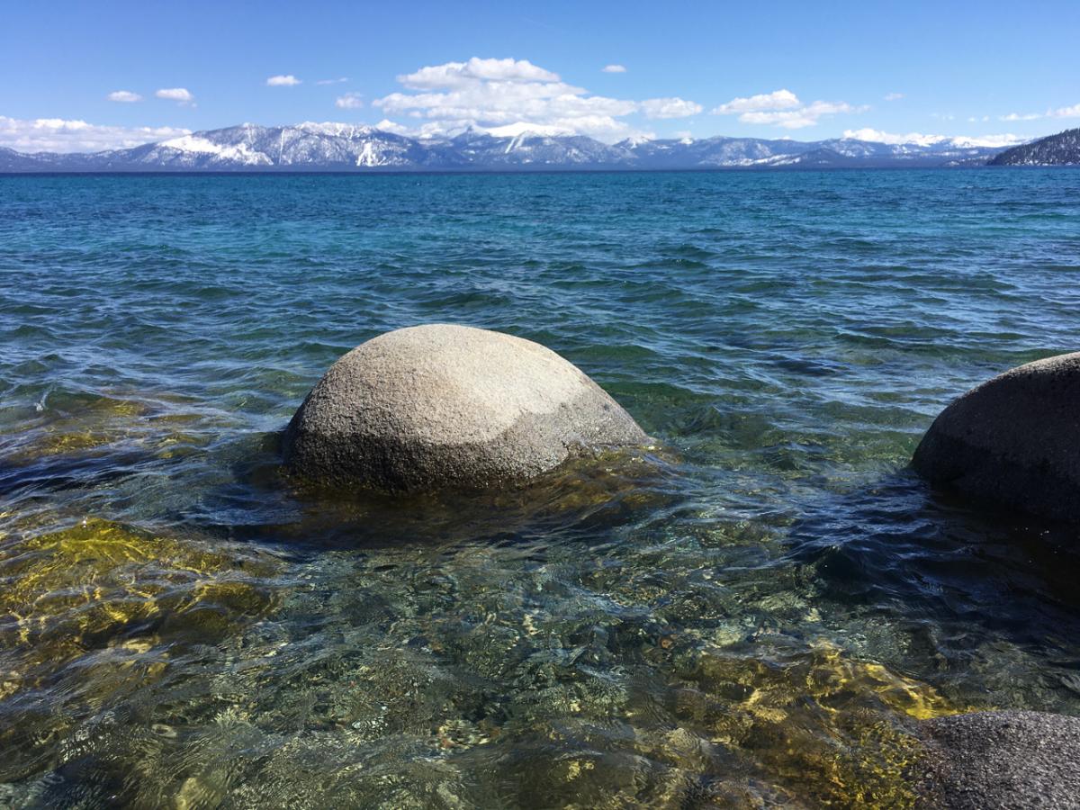 Help North Lake Tahoe Help North Lake Tahoe