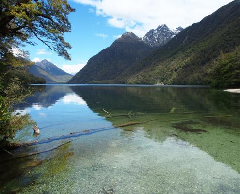 My Trip to New Zealand My Trip to New Zealand