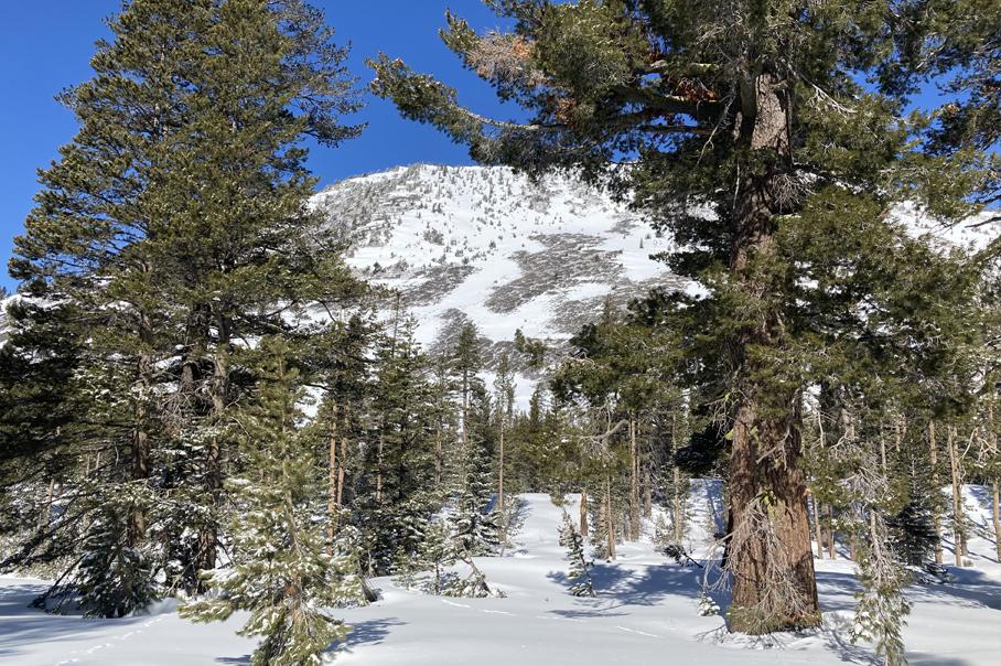 Nevada Nordic in North Lake Tahoe Nevada Nordic in North Lake Tahoe