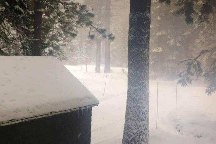 Snow By Lots of Other Names Part Two Snow By Lots of Other Names Part Two