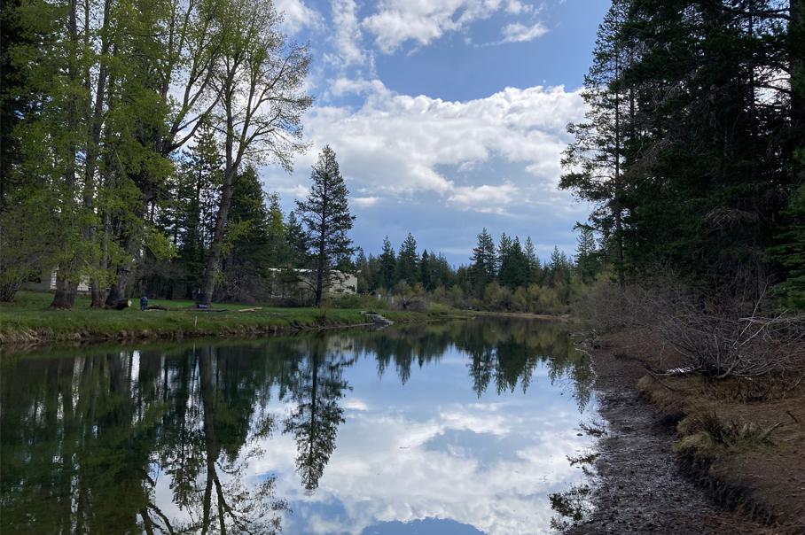Springtime The Roar of the Truckee River in Tahoe Springtime The Roar of the Truckee River in Tahoe