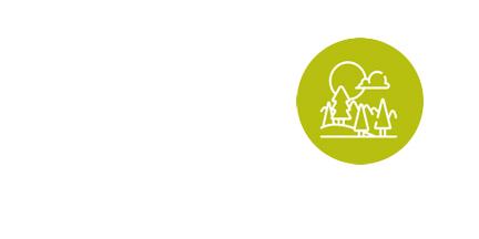 Respect the Environment