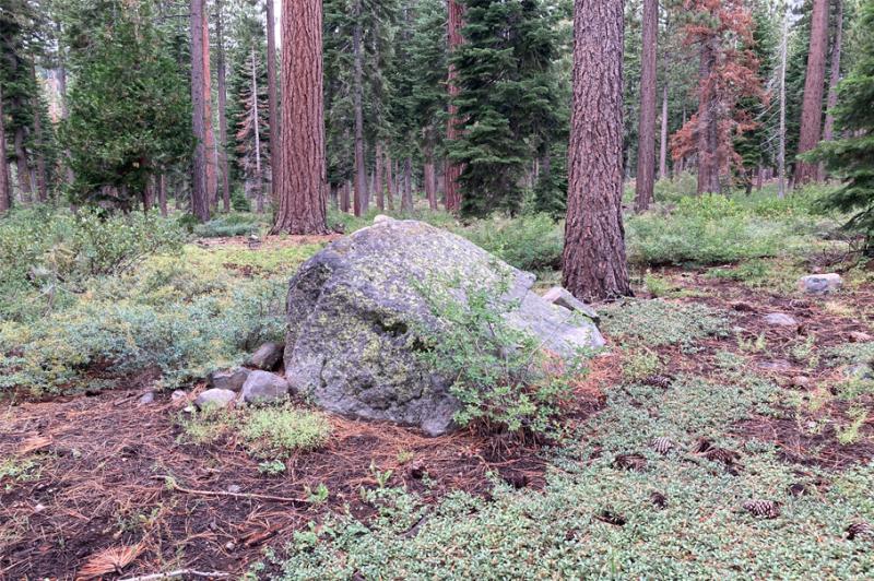 North Lake Tahoe Hiking After The Rain