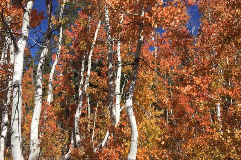 Seasons Change in North Lake Tahoe Seasons Change in North Lake Tahoe