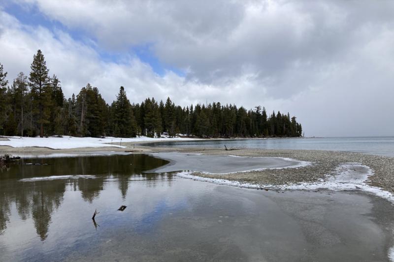Sugar Pine Winter Hike Beach Sugar Pine Winter Hike Beach