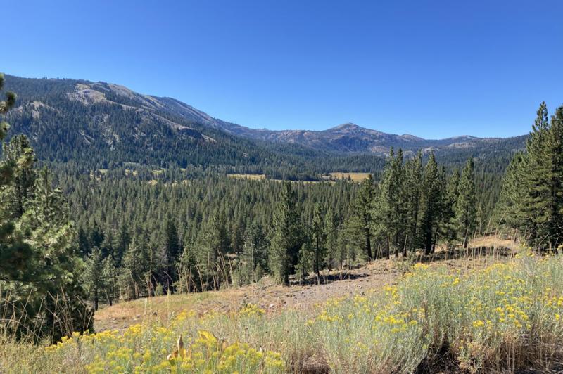 Beautiful and Bumpy in North Lake Tahoe Beautiful and Bumpy in North Lake Tahoe