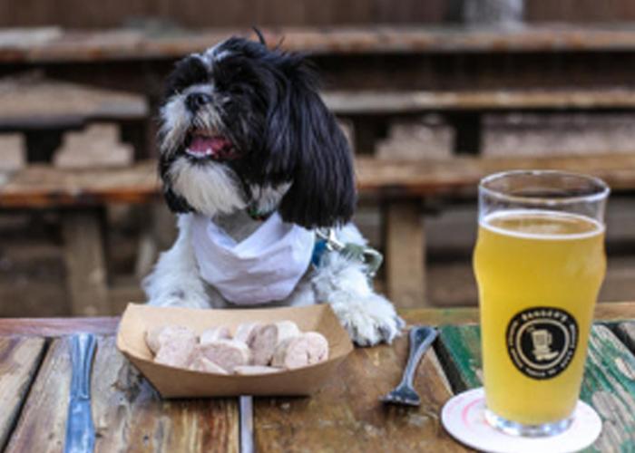 Dining with your dog in North Lake Tahoe
