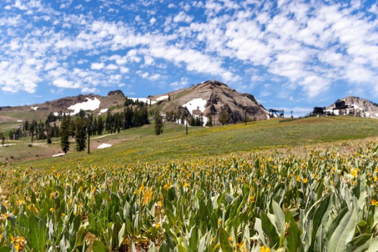 spring or fall experience in Lake Tahoe