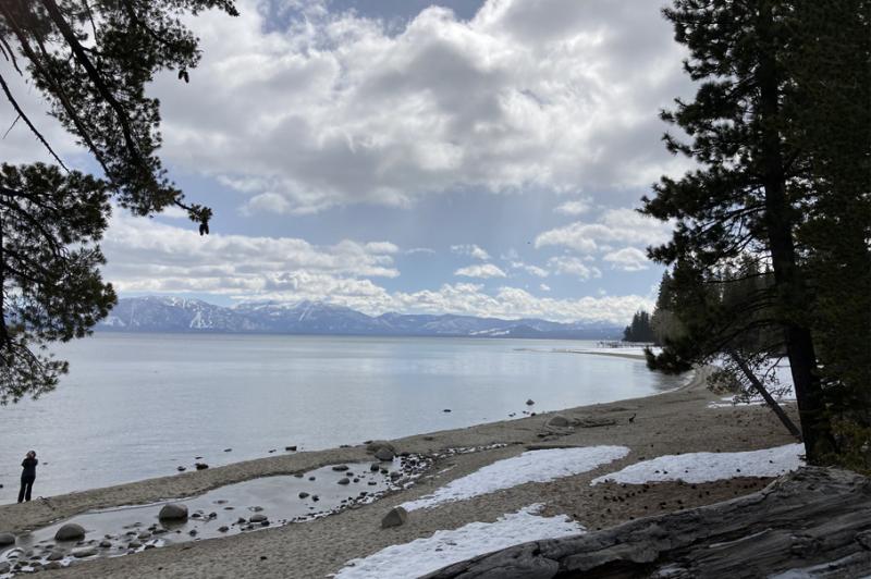 Sugar Pine Winter Hike Beach Sugar Pine Winter Hike Beach